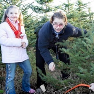 weihnachtsbaum