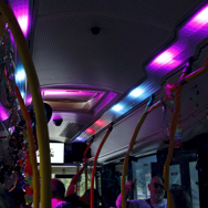 partybus_2